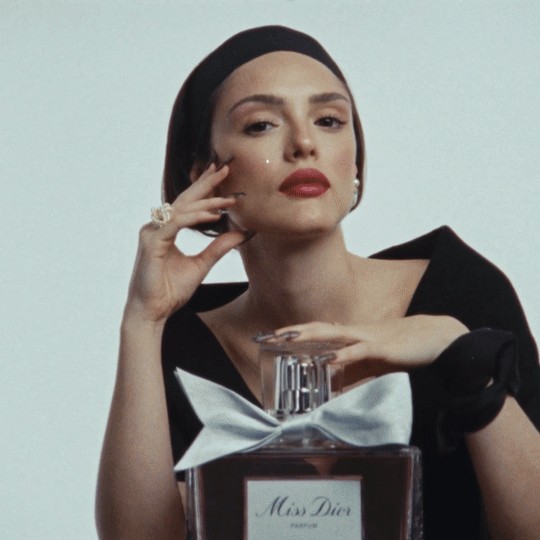 Frame do case Dior